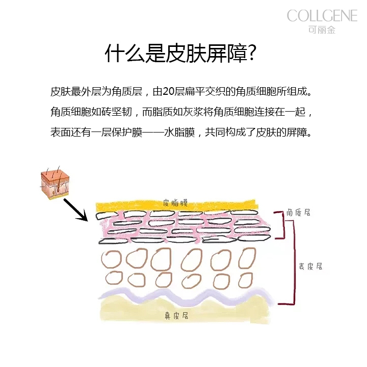 什么是医学护肤？什么样的皮肤需要医学护肤？ 大家可以学习学习，如何才能保护好自己的皮肤